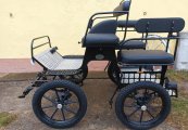 Mini trox 125 web