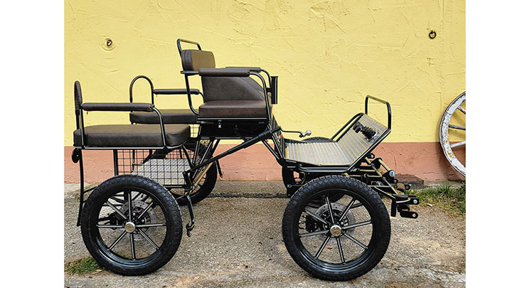 Aktuelle Meldungen von Reit- und Fahrsport Veh