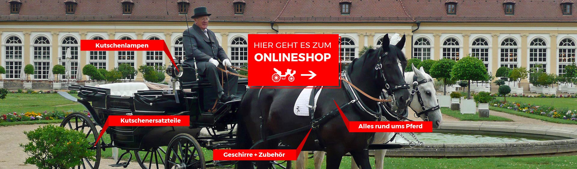 Hier geht es zum Onlineshop