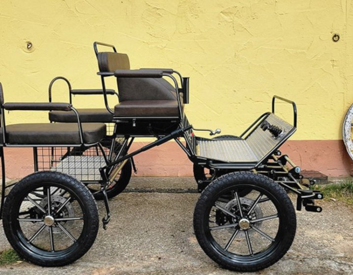 L152-Leichter-Trainingswagen-Pony