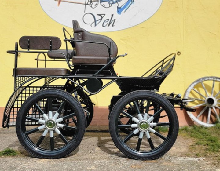 Leichter-Trainingwagen-neu