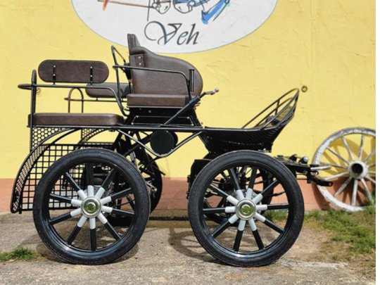 Leichter-Trainingwagen-neu